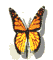 [Bild: butterfly.gif?dateline=1339001303]